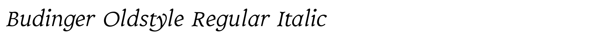 Budinger Oldstyle Regular Italic image